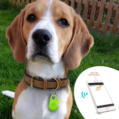 GPS Pet Tracker (Free Today)